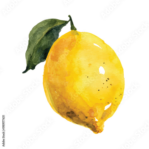 Damaged lemon with green leaf attached.