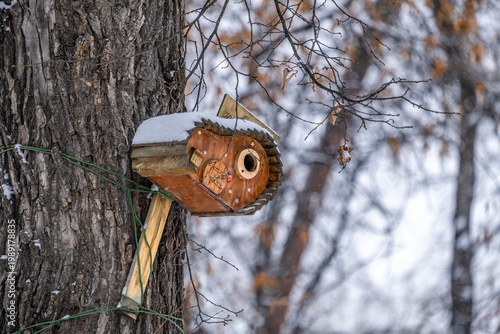 Birdhouse for birds on a tree on a winter day.