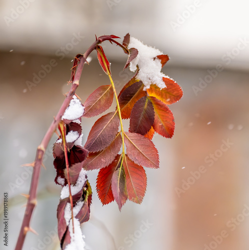 View from the curb of a passing train.