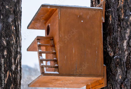 Birdhouse for birds on a tree on a winter day.