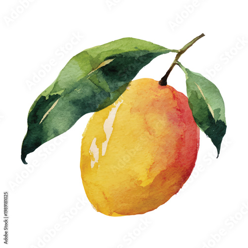 Fresh Mango Fruit with Green Leaves.