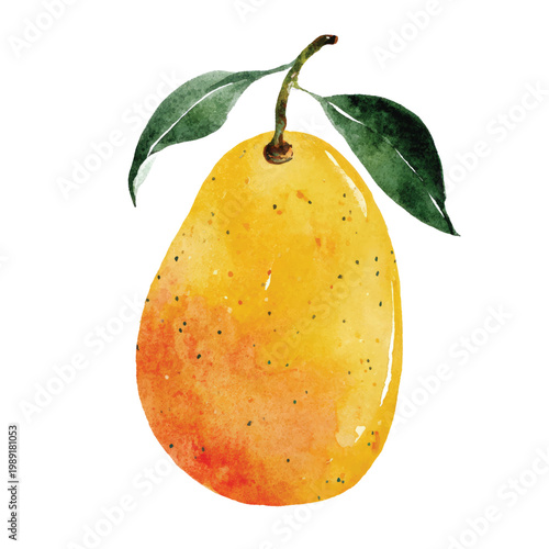 Fresh Yellow Mango Fruit Closeup.