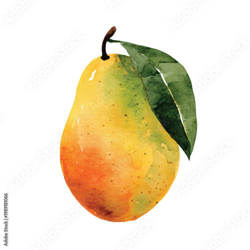 Fresh Yellow Mango Fruit Closeup.