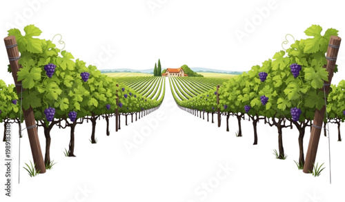 Geometric Farmland Vineyard Perspective Fields Abstract Agriculture Vector Illustration
