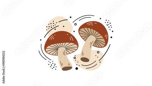 Two mushrooms with abstract shapes and detailed gills and stems surrounded by abstract lines and dots on a clean white background.