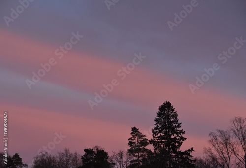 Colorful clouds and dark treetops in silhouette.