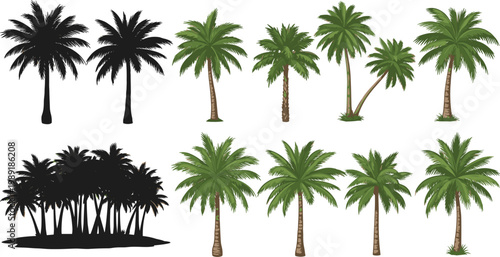 Tropical Palm Tree Collection Set Featuring Realistic Colored and Black Silhouette Styles with Single Trees and Forest Group in Vector Design for Nature and Beach Concepts