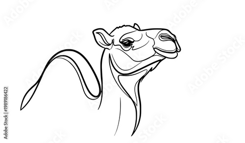 Minimal one line camel head illustration with continuous line arabian desert animal art vector design