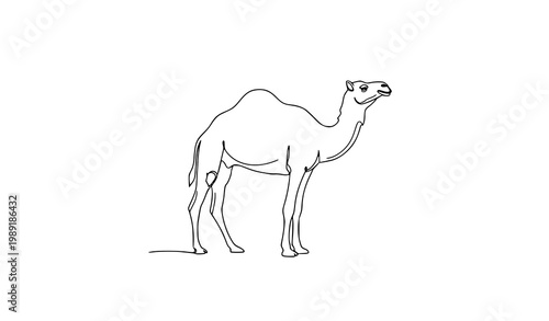 Minimal one line camel icon with continuous line arabian animal drawing for tattoo logo vector illustration