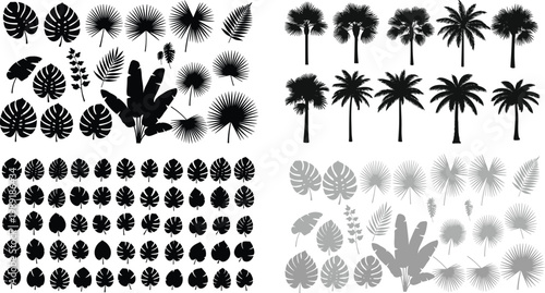 Tropical Leaf and Palm Tree Silhouette Collection Set Featuring Monstera, Fan Palm, Banana and Exotic Foliage in Black and Gray Vector Design for Nature and Jungle Concepts