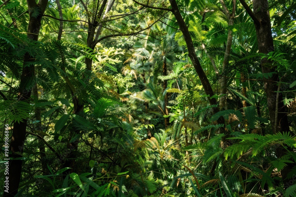 Obraz premium Dense tropical forest vegetation with layered green foliage