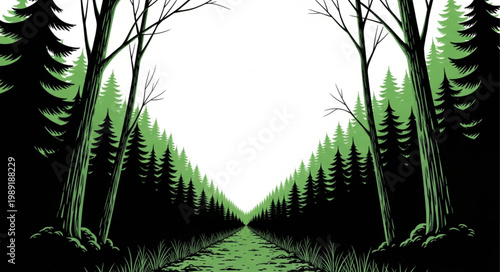 Stylized Forest Path with Tall Evergreen Trees.