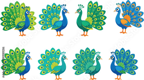 Peacock Bird Vector Set with Colorful Feather Display in Decorative Cartoon Style for Nature Design, Wildlife Illustration, Kids Graphics, and Ornamental Branding Use