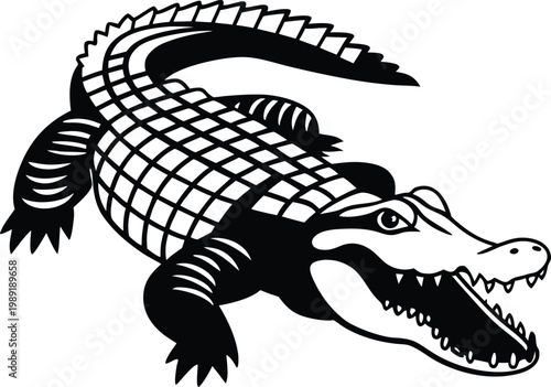 Isolated crocodile reptile wildlife illustration on white background