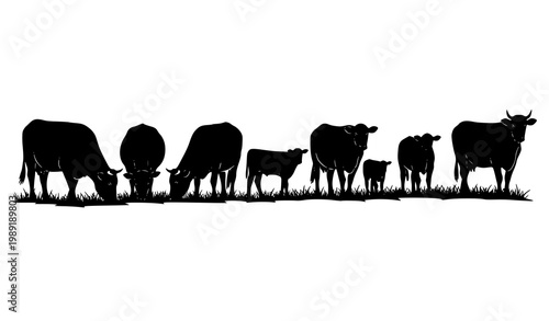 Cow and calf grazing silhouettes vector herd scene farm cattle group rural agriculture illustration set