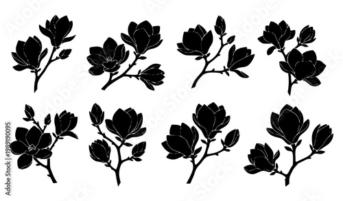 Black silhouette magnolia branches with flowers and buds elegant floral botanical vector set isolated on white