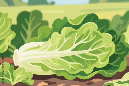 Cartoon napa cabbage with light green leaves and white veins growing on garden soil.