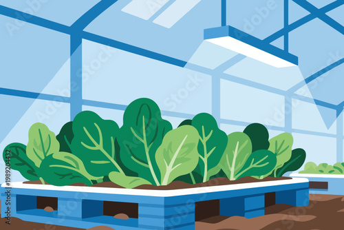 Cartoon greenhouse interior with raised bed of leafy greens under sunlight and artificial lamp.