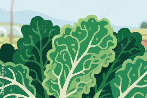 Cartoon kale or collard greens with large leafy texture and white veins in outdoor farm landscape.
