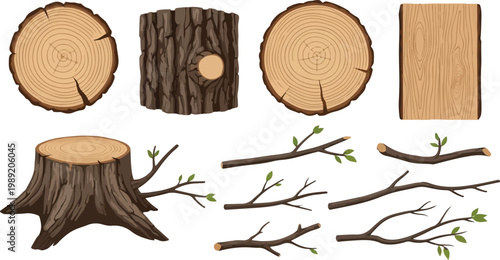 Natural wood log slices and tree stump vector set, rustic timber cross sections with bark texture and annual rings, brown forest branches and twigs with green leaves