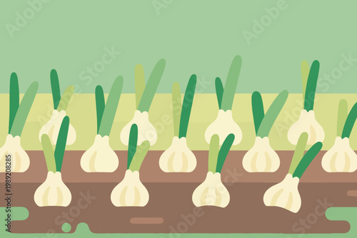 Cartoon garlic plants with green shoots growing in neat rows on brown soil in garden field.