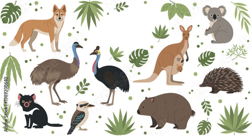 Cute vector set of native Australian wildlife featuring kangaroo koala wombat kookaburra and emu isolated with green leaves.
