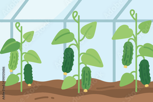 Cartoon cucumber plants growing in greenhouse with green stems, broad leaves, hanging cucumbers, and yellow flowers.