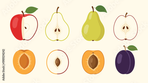 Set of whole and halved fruit illustrations including apple, pear, apricot, and plum displayed on a neutral beige background.