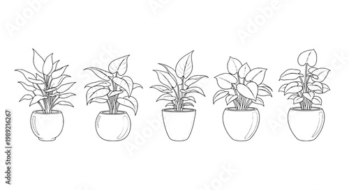 Plant pot line icons set with minimalist botanical leaves, delicate outlines, and clean vector style for website and packaging design