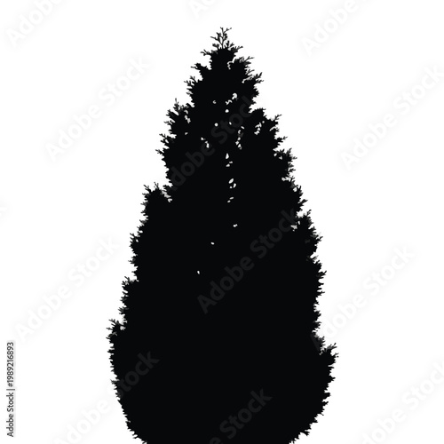 Evergreen tree silhouette, black pine tree, coniferous forest icon, dark green foliage