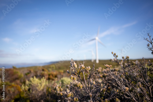 Wind turbines line a coastal landscape under a clear blue sky.