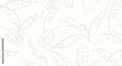 Leaves on white background illustration.