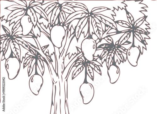 Mango tree, tropical fruit illustration, black line art, botanical vector, food icon