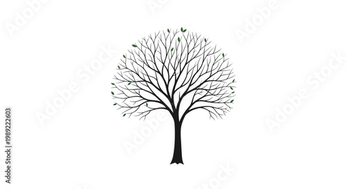 A tree with sparse green leaves.