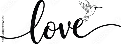 Love and hummingbird a delicate black and white calligraphic design