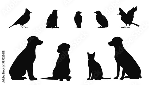 Animals silhouette collection features various dogs, cats, and birds arranged in a clean row to showcase domestic pet diversity and wildlife diversity against a pure white background for design.