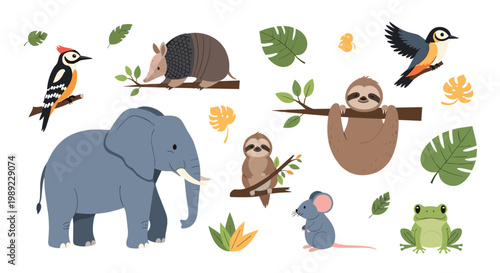 Large collection of cute jungle and forest animal characters including an elephant sloth frog and various birds in a flat style.