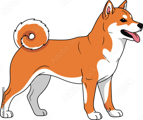 Shiba Inu dog standing side view cute Japanese breed pet animal cartoon style vector illustration isolated