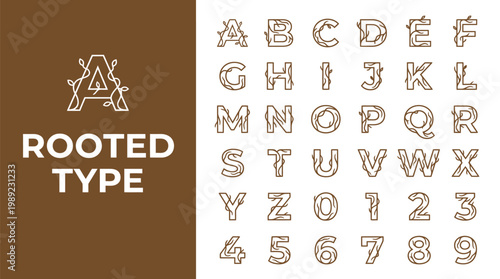 A creative typography design featuring a custom alphabet and numbers