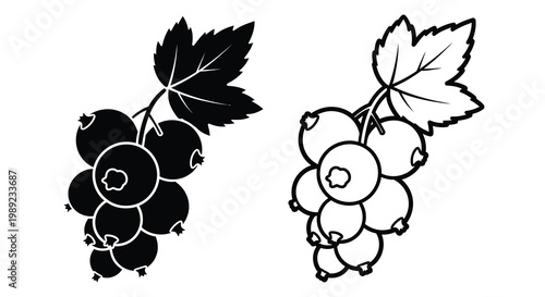 Black and white illustration depicting blueberry branches with fruit silhouette