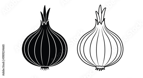 Two onions displayed with contrasting colors a striking silhouette