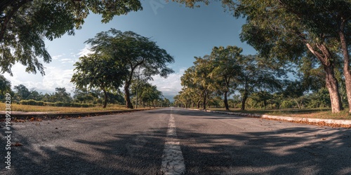 Low-angle shot of asphalt road with white stripe flanked by lush trees under bright sky
