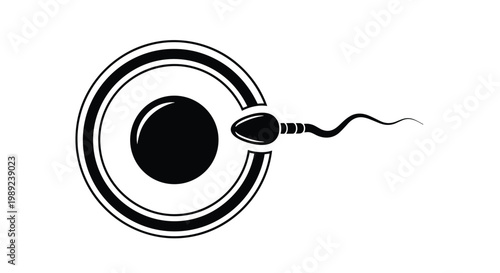 Biological illustration of human fertilization showing a single sperm cell penetrating an egg cell on a white background.