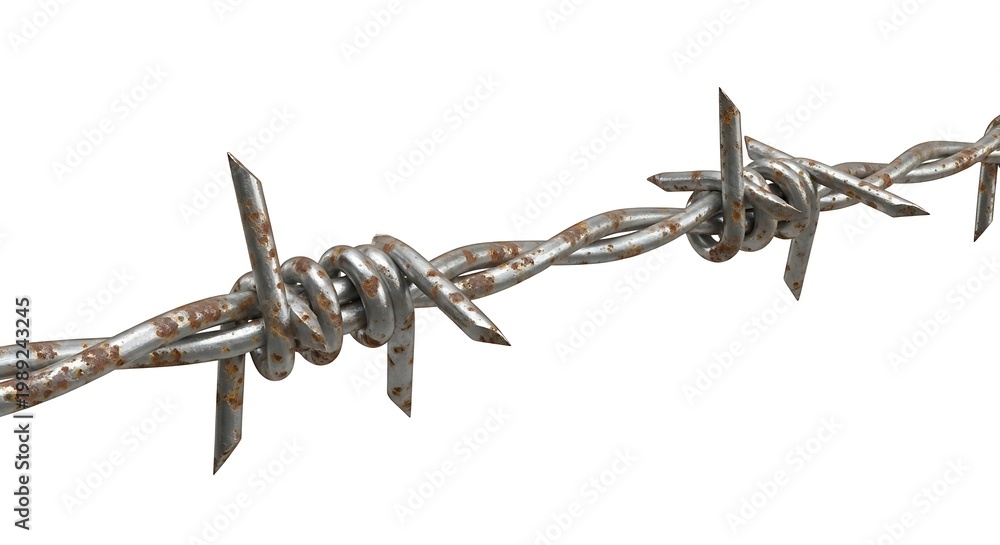 Obraz premium Close up of barbed wire against white background