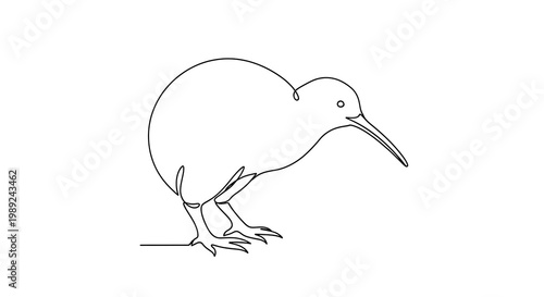 Continuous line drawing of a kiwi bird