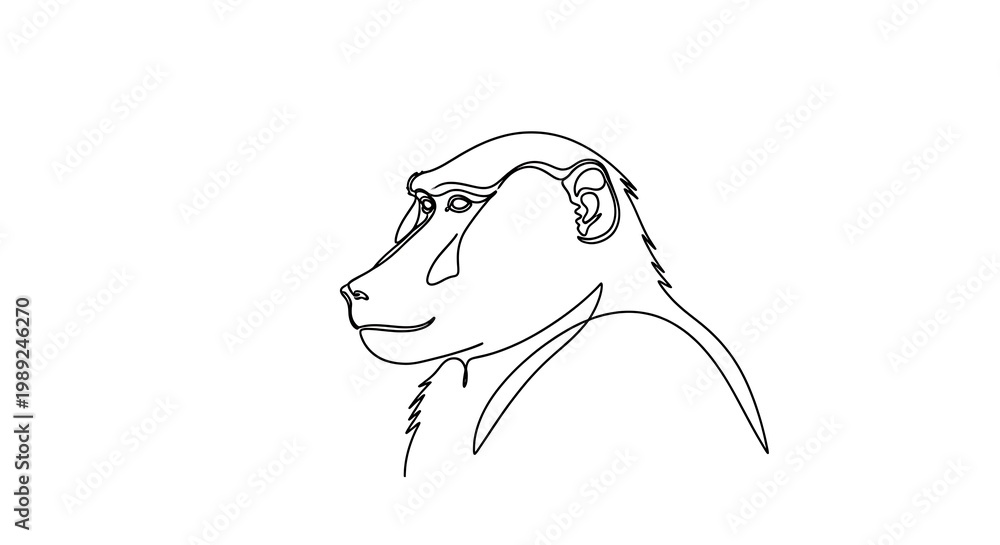 Fototapeta premium Continuous line art of a monkey