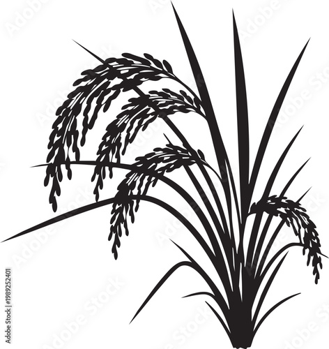 A detailed illustration of mature rice plants with fully developed seed heads