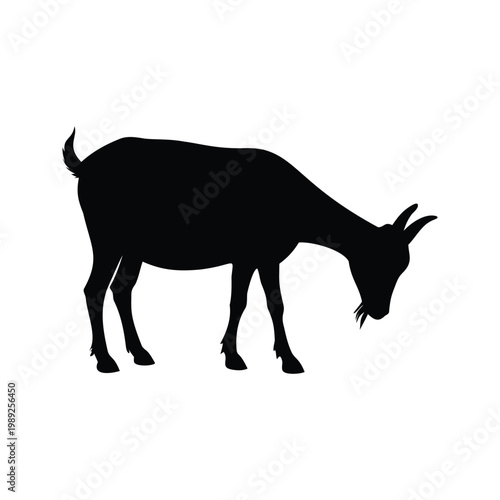 Silhouette of goat grazing in field detailed horns and legs silhouette vector illustration, goat grazing silhouette vector illustration