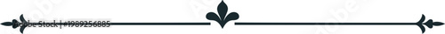 Elegant vintage decorative line divider