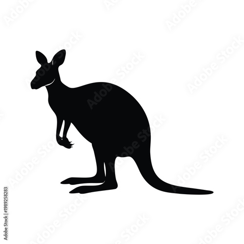 Silhouette of kangaroo standing on hind legs detailed vector illustration, kangaroosilhouette vector illustration